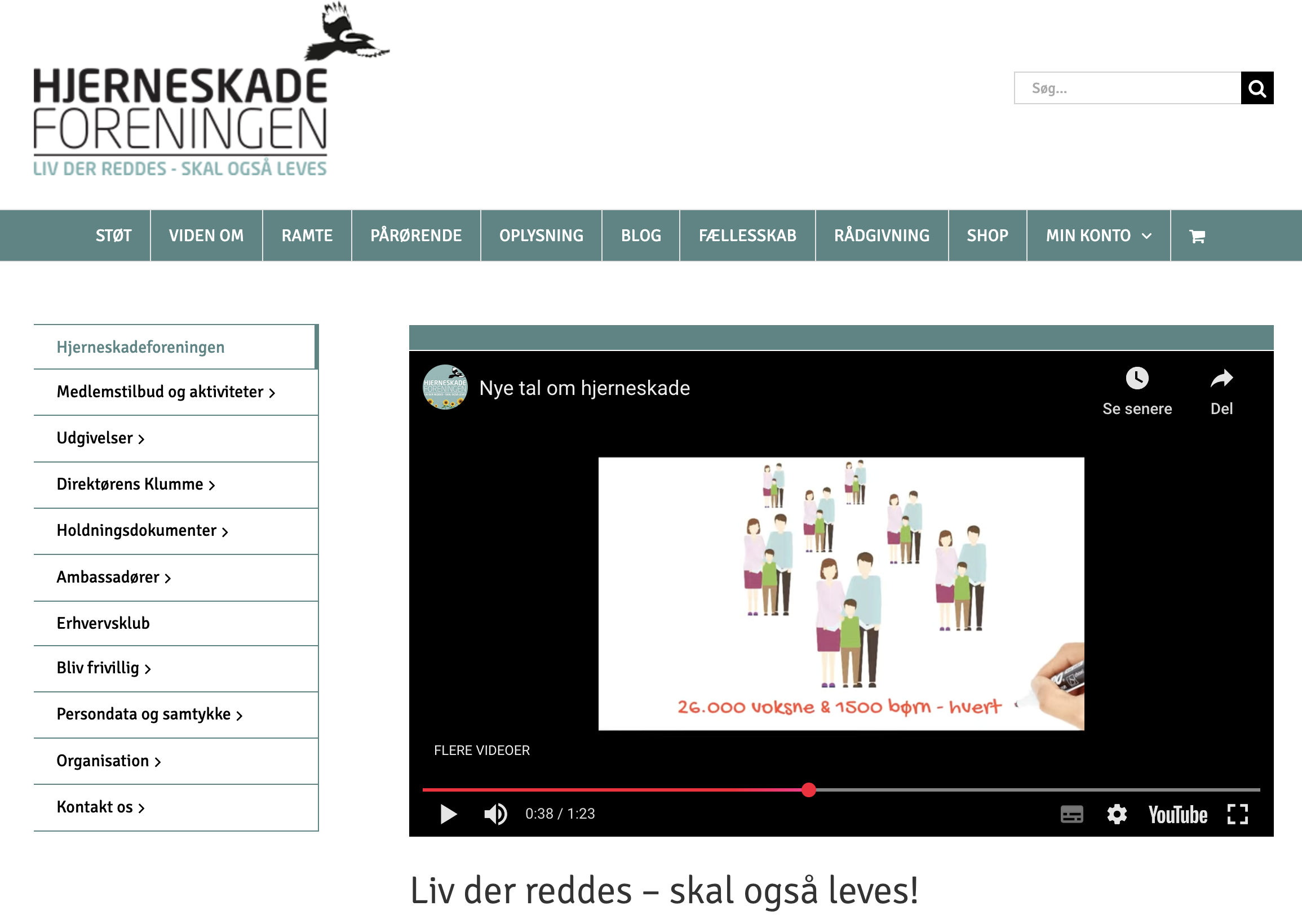 Skærmbillede 2025-05-25 kl. 21.34.04